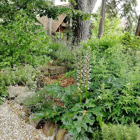 Villa Le temps des cigognes à Barr Extérieur photo