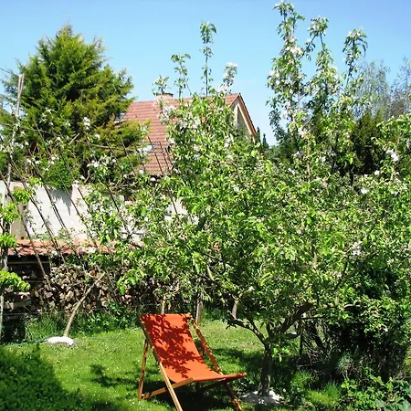 Villa Le temps des cigognes à Barr Extérieur photo