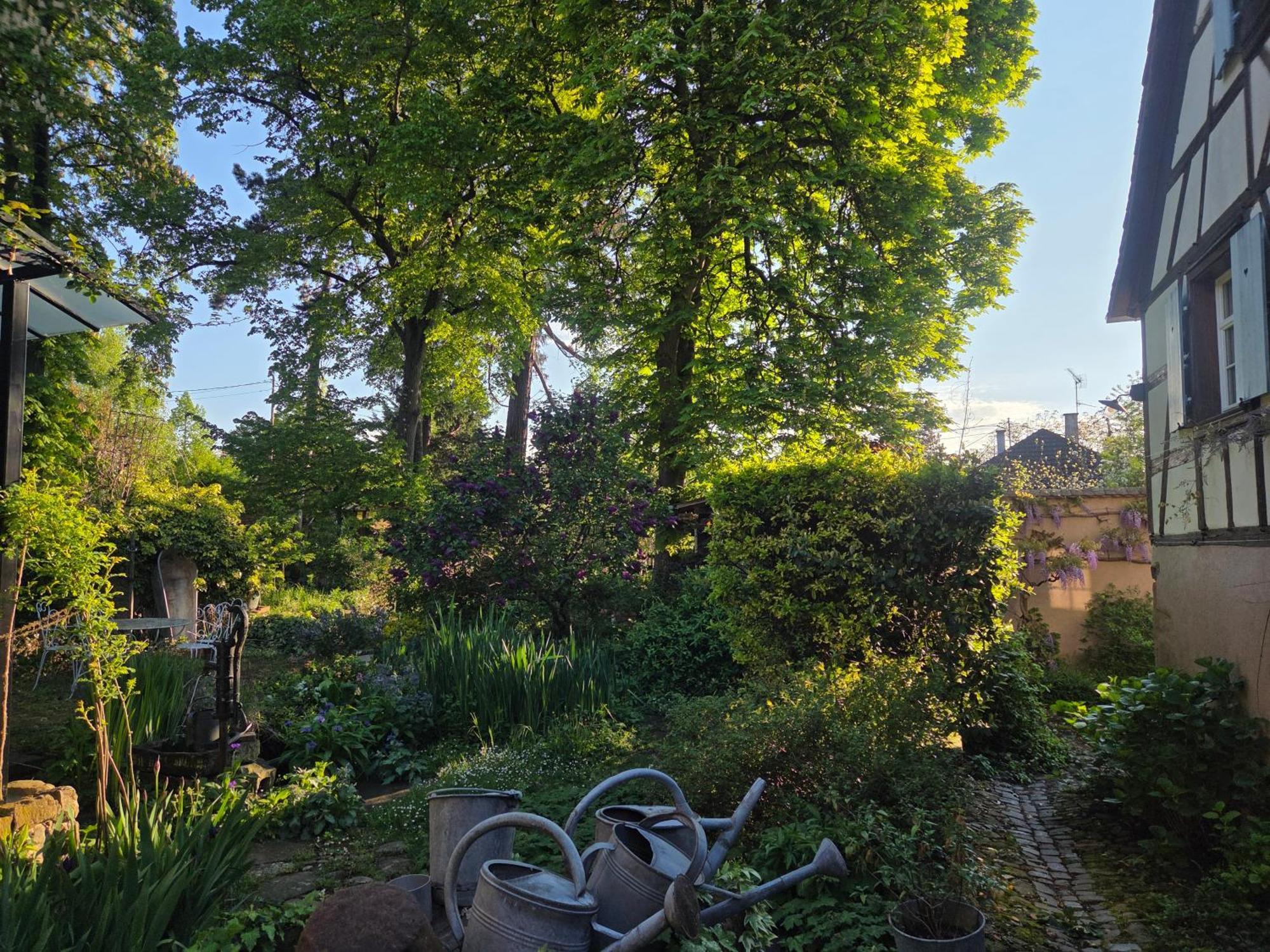 Le Temps Des Cigognes Holiday home *