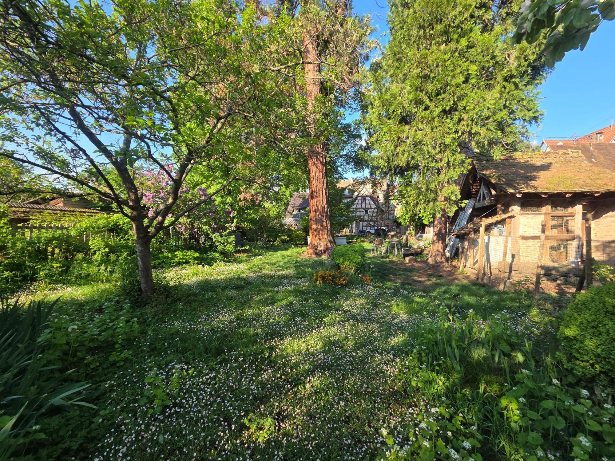 Le Temps Des Cigognes Holiday home Barr