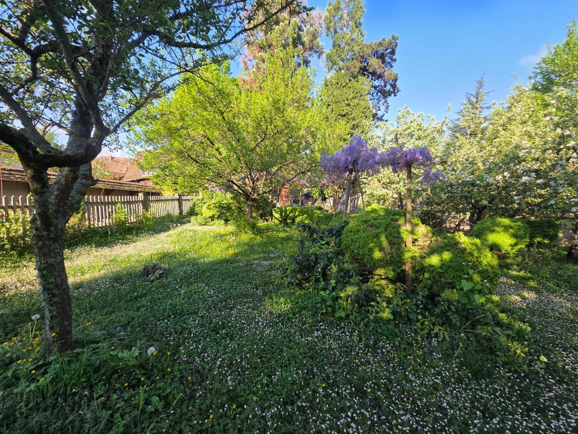 Le Temps Des Cigognes Holiday home