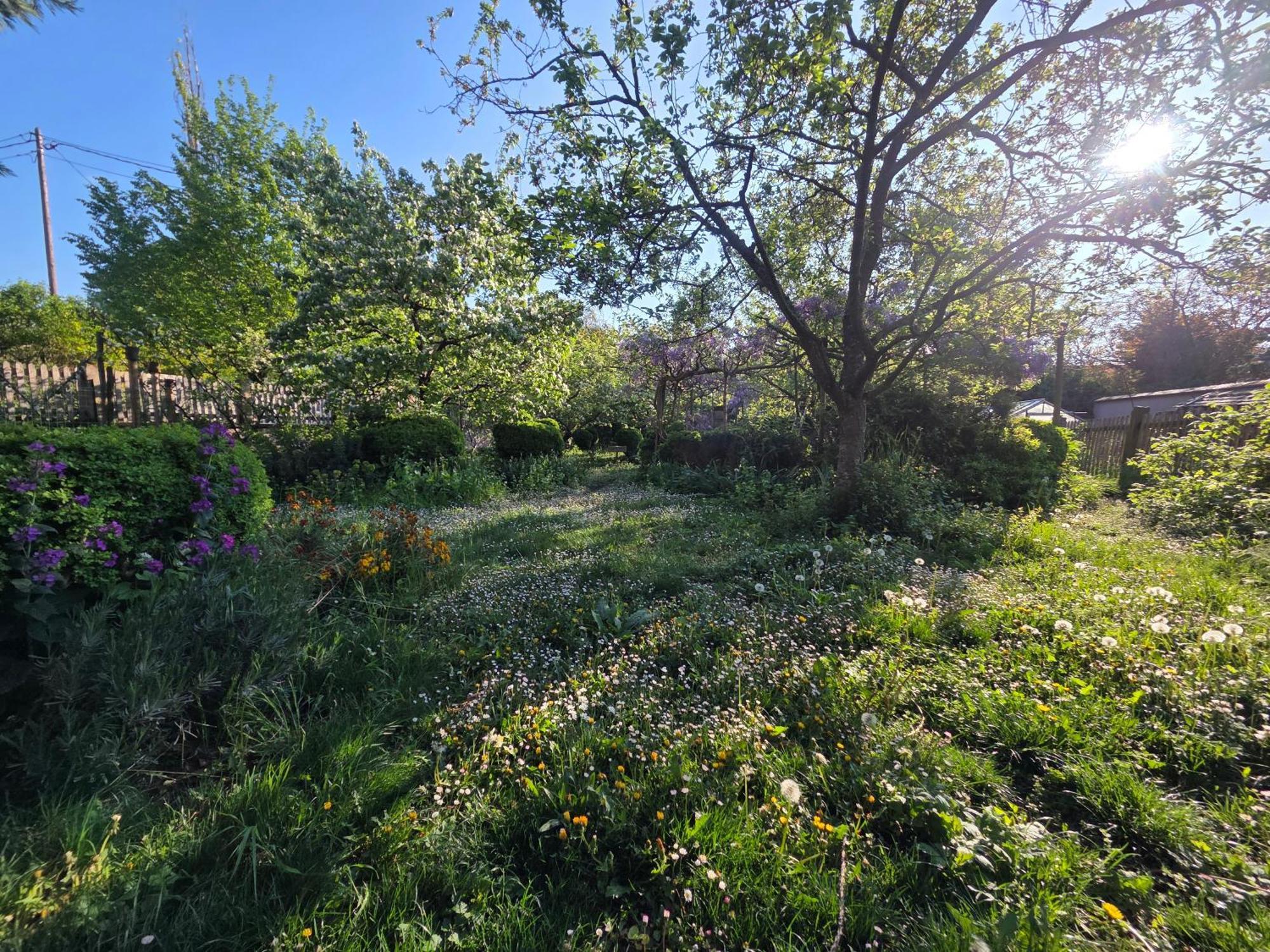 Le Temps Des Cigognes Holiday home *