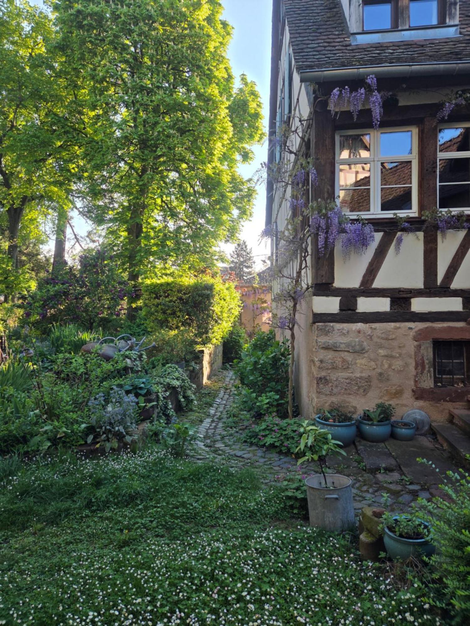 Holiday home Le Temps Des Cigognes *