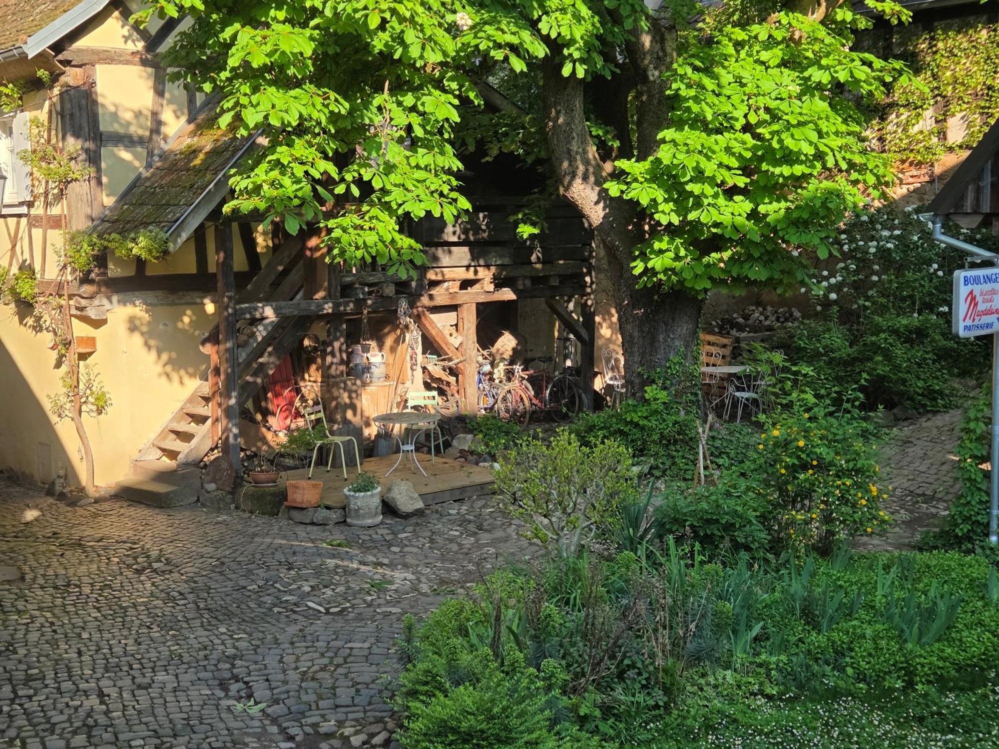 Le Temps Des Cigognes Holiday home Barr