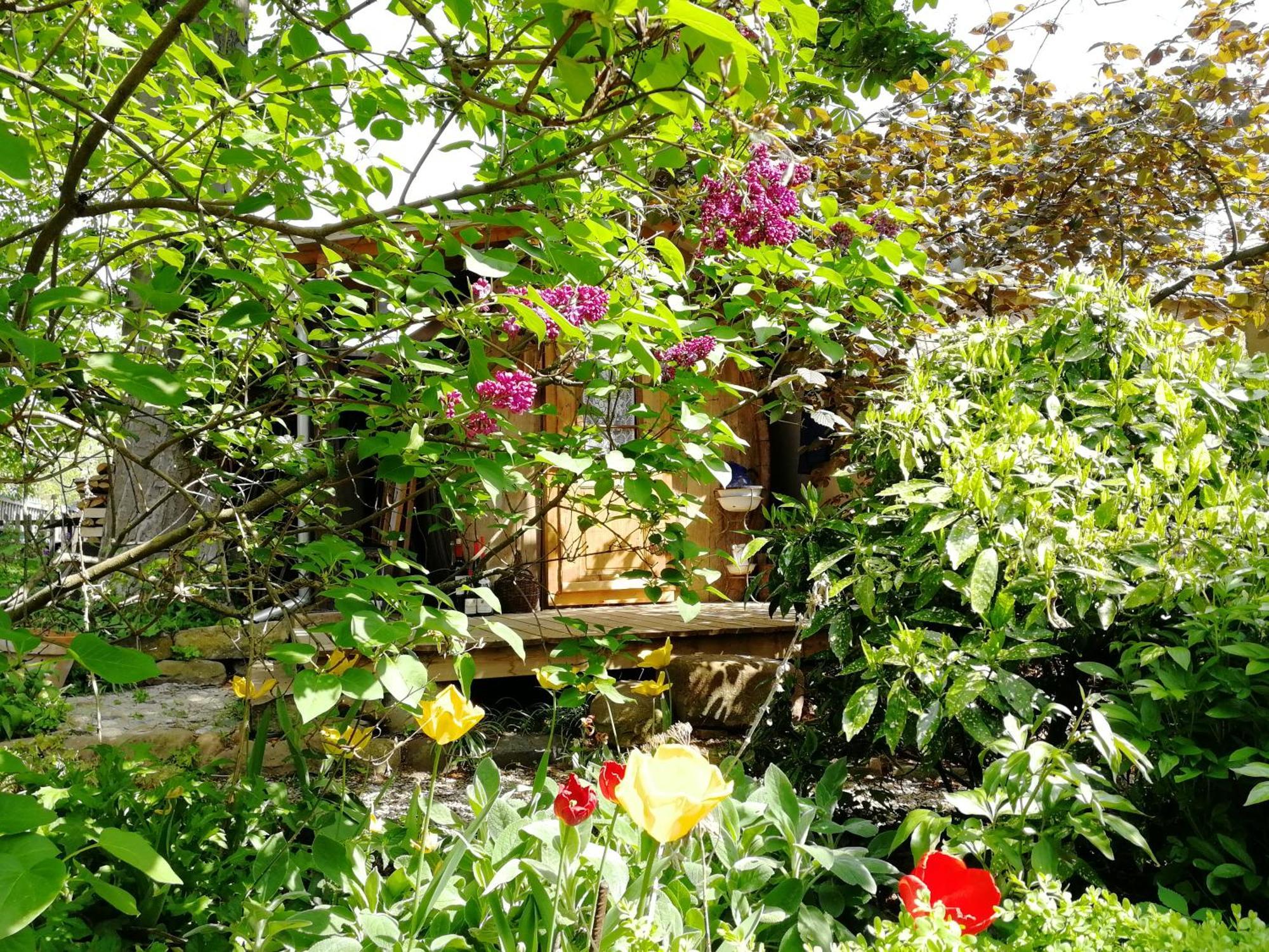 Holiday home Le Temps Des Cigognes *